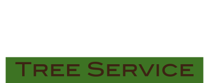 Ottawa Canopy Tree Service